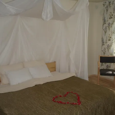 Laululinnu Konukevi Jarvajoe