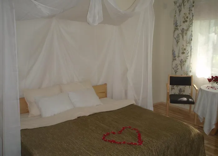 Laululinnu بيت ضيافة Jarvajoe